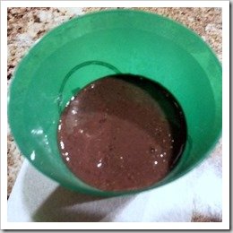 Vega Protein Smoothie