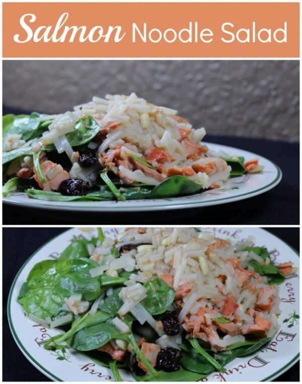 Salmon Noodle Salad // FITaspire.com