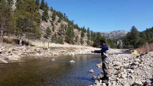 Fly Fishing - Estes Park