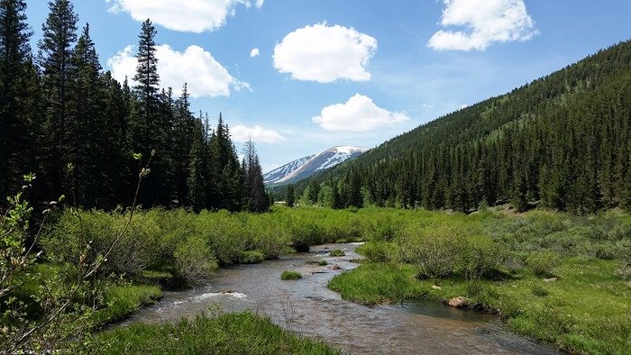 Backpacking in Buffalo Peaks Wilderness - Rich Creek Trail (Colorado) #travel