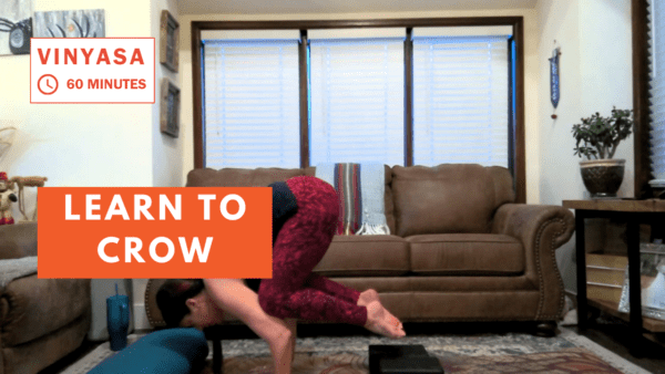 learn to crow vinyasa yoga